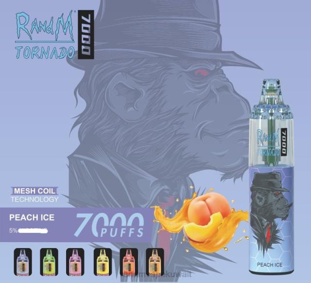 RandM Tornado 7000 جهاز التحكم في تدفق الهواء 1 قطعة جليد الخوخ BFTJ171 RandM Vape Kuwait